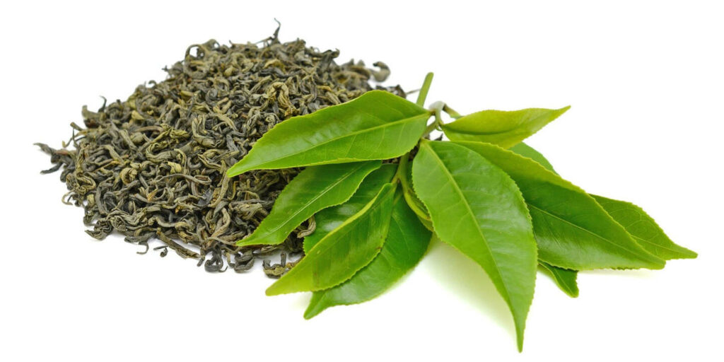 أعشاب لسد الشهية للأطفال- الشاي الأخضر